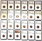 Lincoln Cent 24-Coin Set - 1989 to 2010 - NGC Certified - All MS 66 RD