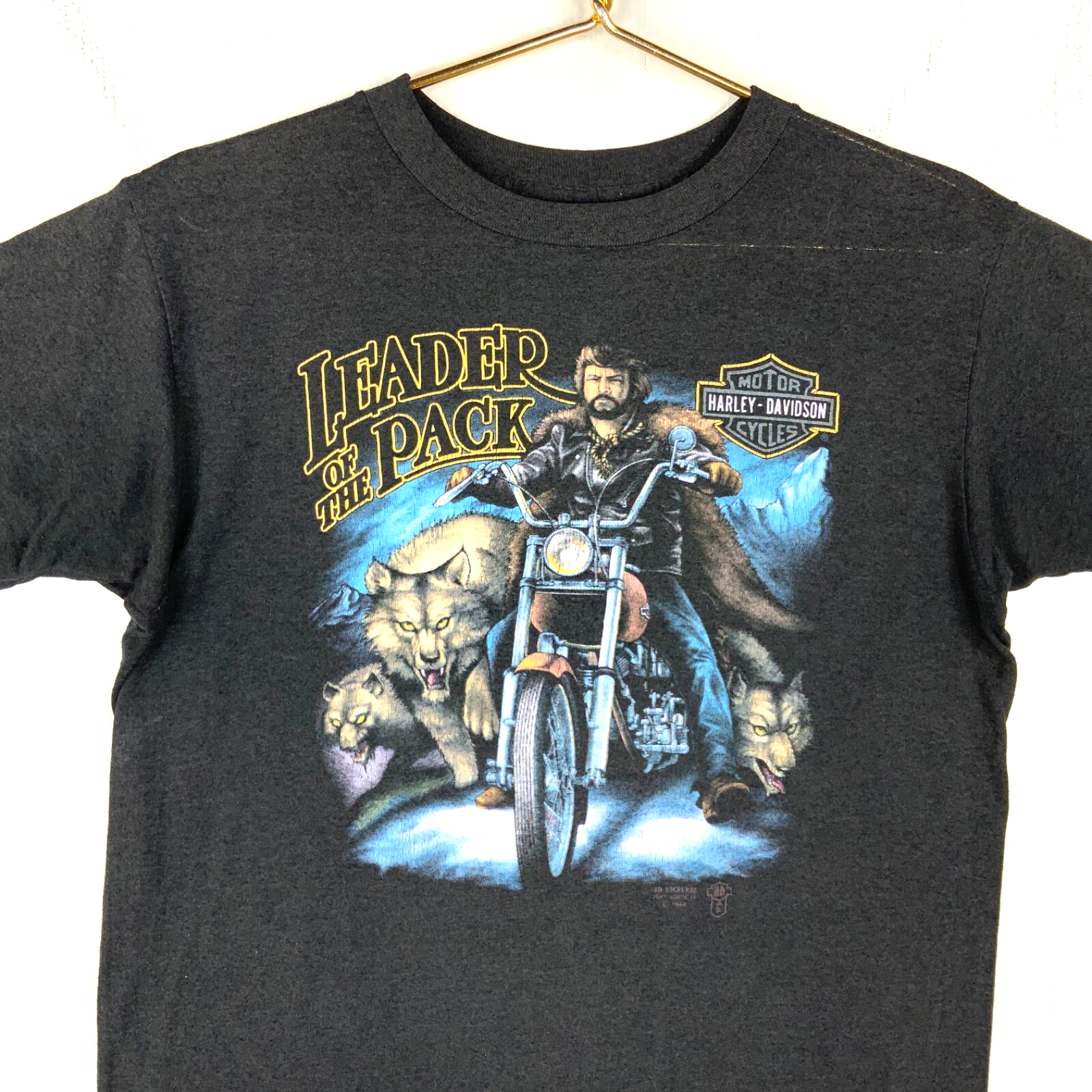 Foto 1 di 7