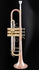 LT 180S-37 198GS-99 gold color/silver color/phosphor copper trumpet with case