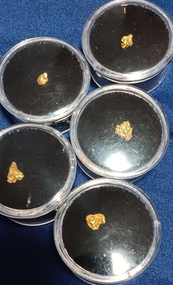 1.4 Grams of Alaska and Montana Placer Nuggets!!! Free gold flake vial!!!