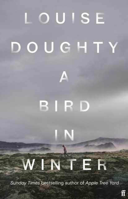 A Bird in Winter by Louise Doughty (Hardback Book)