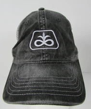 Corteva Agriscience Enlist E3 Soybeans Pioneer Gray Ball Hat Cap Mesh Back