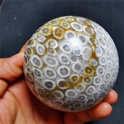 445.7G Natural Colorful RARE Polished Ocean Jasper BALL 68A08+