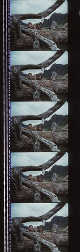 Jurassic Park 35mm Film Cell strip very Rare var_a - Picture 112 of 132