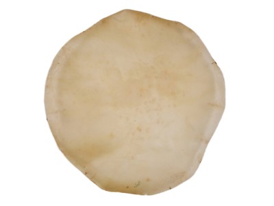 One 8'' Calf Rawhide Disc Drum Cover (55-25-08) Y1G