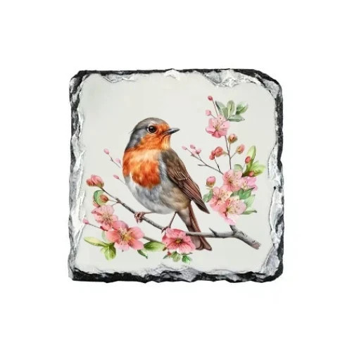 Robin Square Rock Slate Coaster