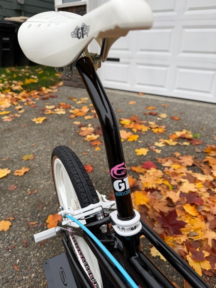 Pédales GT Old School BMX Freestyle - Double Cage Plastique - All Black - Années 90