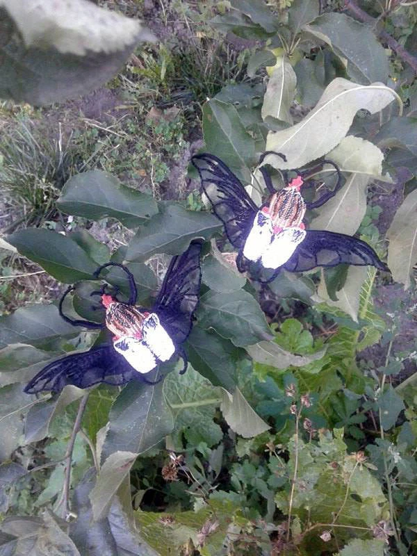 Beetle Goliath Extra Quality Embroidered Patch - Image 2 of 4