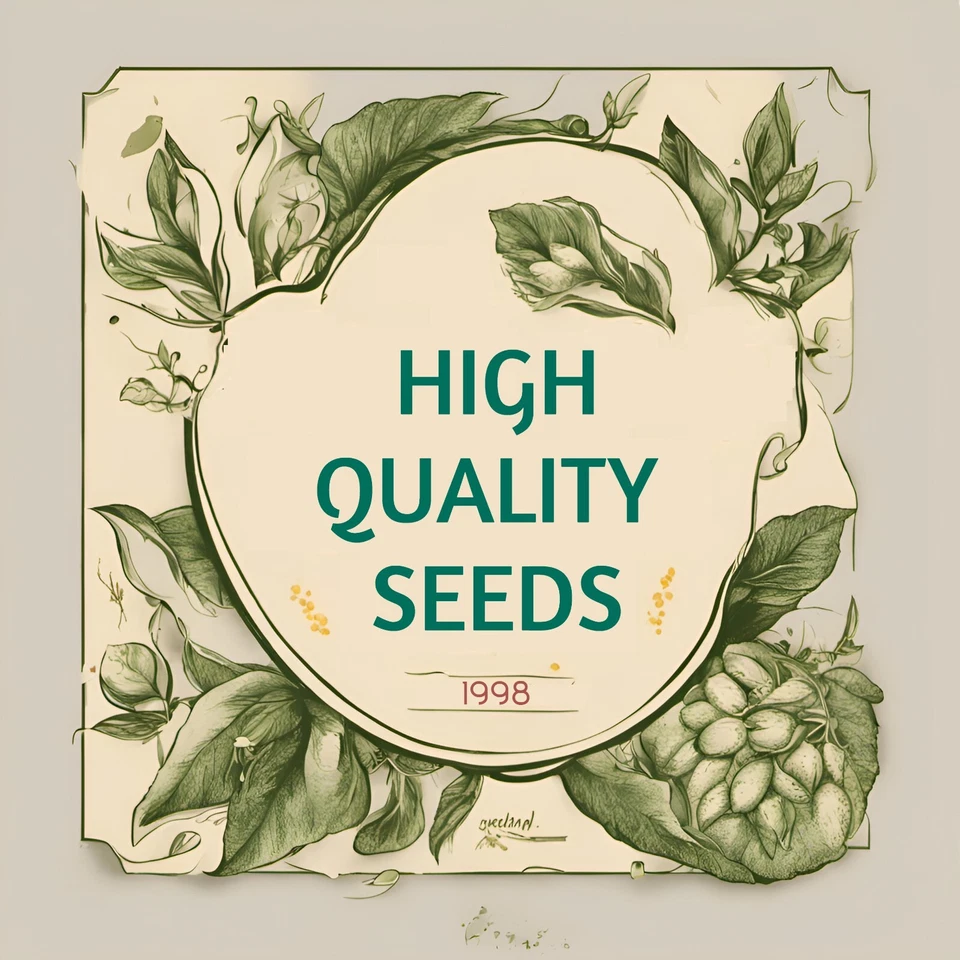 COLEUS 彩虹混合 - 500 种子 - 五颜六色的阴影花园植物 - 适合含 — 第 4/4 张图片