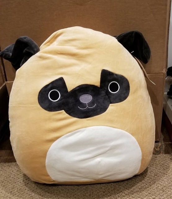 pug squishmallow