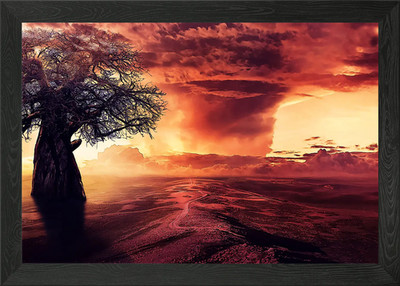 Baobab tree and huge storm Framed Wall Art Poster Canvas Print Picture