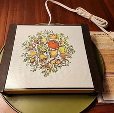 RARE Vintage Spice of Life Pattern Counter Top Warm-O-Tray Model 30T 8 By 7"