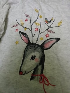 Girls Christmas Pyjamas Age 13 14