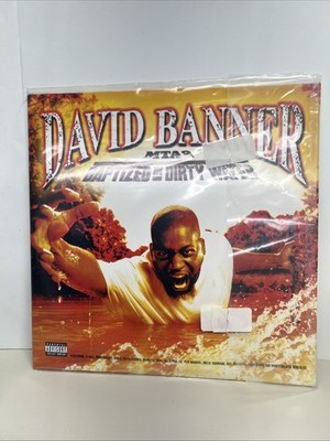 DAVID BANNER MTA2 - BAPTIZED BY DIRTY WATER STREET RECORDS CORP DOUBLE PROMO LP