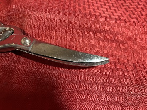 1847 ROGERS*VINTAGE GRAPE PATTERN*ORIGINAL POULTRY SHEARS*EXTREMELY RARE*1904 - Picture 8 of 8