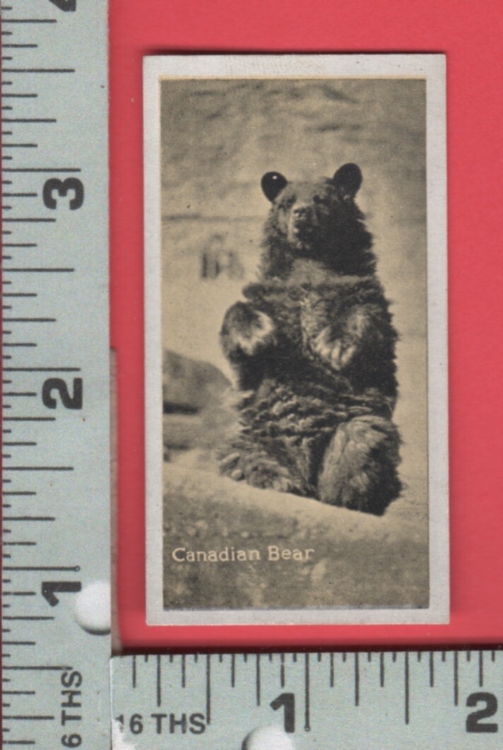 Foto 1 di 2