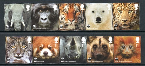 2010 to 2015 GB MNH Stamp Sets Your Choice Multi Buy Discount Choose One or More - Picture 18 of 69