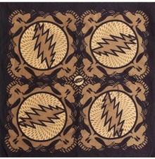 Bandana Grateful Dead Spin Your Face Stealie SYF Deadhead Sunshine Joy 22x22"