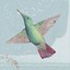 bellwether-bargains