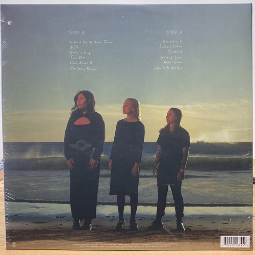 Boygenius The Record COLORED Silver Vinyl LP New Record SEALED - Foto 2 di 2