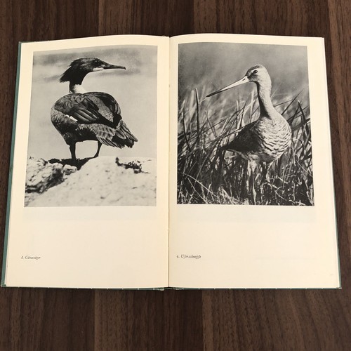 2 German C. Bertelsmann Books 1949 & 1952 Das Kleine Vogelbuch & Pilgerfahrt - Picture 5 of 16