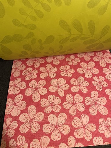 K & COMPANY Specialty Double Sided “CITRONELLA“ Scrapbooking Papers 25 Sheets - Picture 5 of 12