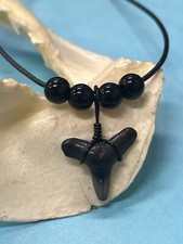 SHARK TOOTH NECKLACE ( Fossilized ) ..5/8 Inch BLACK TIP Shark Tooth 