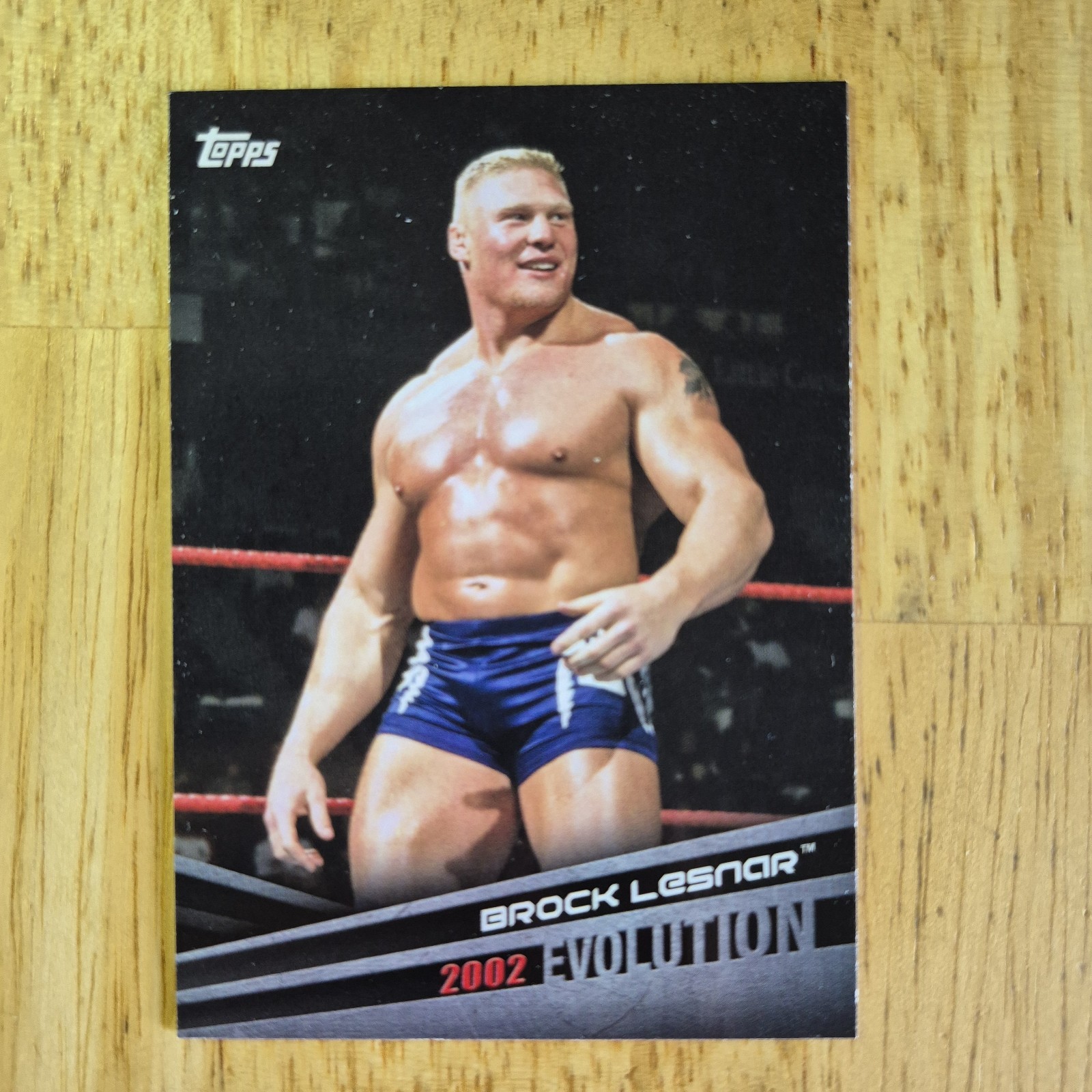 Brock Lesnar | 2018 Topps WWE Evolution #E-8