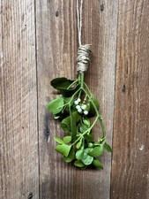 Mistletoe Bundle 8”x 2”—fresh, cut to order