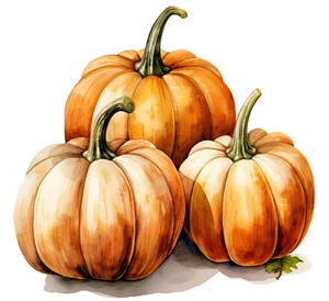 Pumpkin Halloween Self Adhesive Sticker