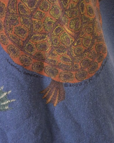 vintage 90s retro Turtles T-Shirt Colorful Nature Animals SZ Youth M - Picture 3 of 5