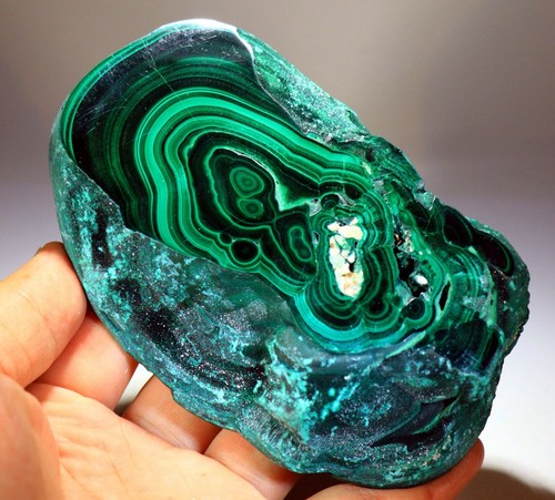 1 lb 12 oz 5.25" Top Quality Polished Bull's Eye Malachite Slice, Congo! M716 - Picture 6 of 6
