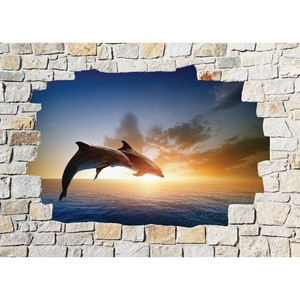 Aufkleber Wand Schein Auge Stein Deko Delfin 8522 Ebay