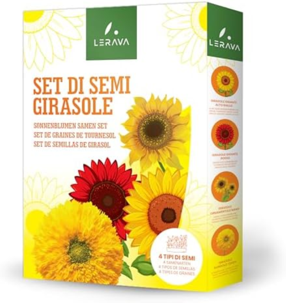 Set di Semi Girasoli - (4 VARIETÃ€) - Girasole gigante alto giallo, Gigante Ross