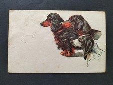 CARTOLINA CANI SETTER VIAGGIATA 1941 REGNO D' ITALIA CACCIA RAZZA CANE ANIMALI