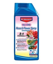 BioAdvanced All-in-One Rose and Flower Spray, Rose Fungicide, Concentrate, 32 Oz
