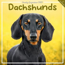 Dachshund Family Organiser 2027, Family Planners, Month To View, Dogs, Gift