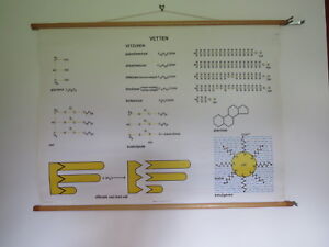 Biochemistry Chart