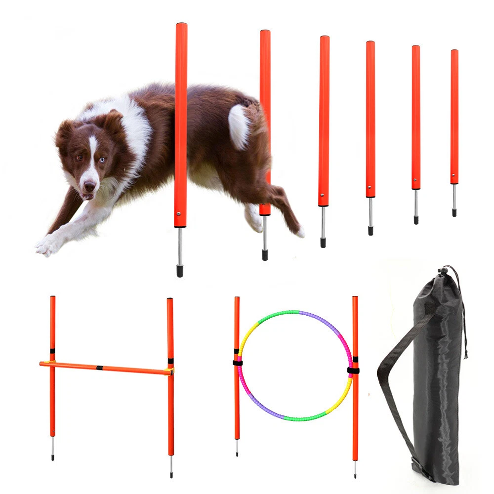 Dog outdoor equipment top