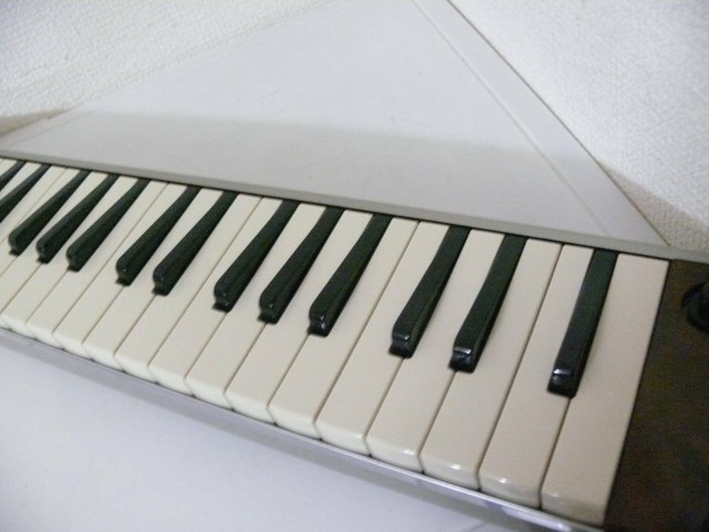 Suzuki hammond melodion