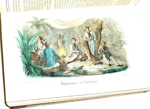 Franz Hoffmann: Der neue Deutsche Jugendfreund Jahrgang 1853 Komplett 36 Tafeln - Picture 5 of 9