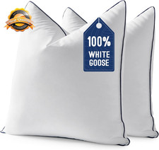 Goose Feather down 20X20 Pillow Insert Set of 2 with 100 Down-Proof Cover, Soft