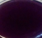 Bild 3 von 4