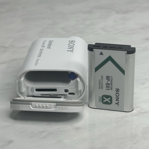 Sony HDR-AS100V Underwater Action Camera + Housing & Accessories TESTED & WORKS - Picture 13 of 18