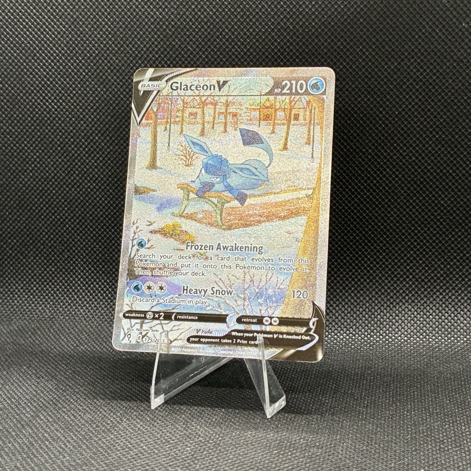 Picture 3 of 14