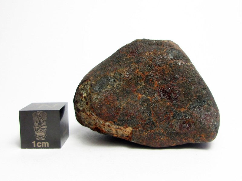 NWA 869 Meteorite 57.50g Awesome Aerolite From Space 
