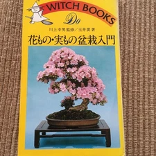 Flower & Fruit Bonsai Guide by Yukio Kawakami, Used, Good Condition Japan