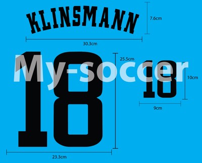 Germany Home World Cup 1998 FLOCK VELVET NAME NUMBER PRINT | eBay