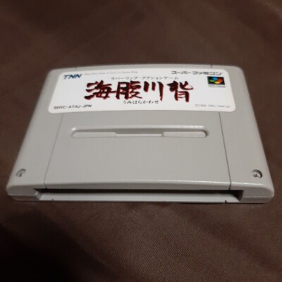 Nintendo Super Famicom Umihara Kawase Cartridge only SFC SNES JAPAN | eBay