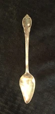 1847 Rogers Bros Remembrance GRAPEFRUIT SPOON Silver Plate 6"